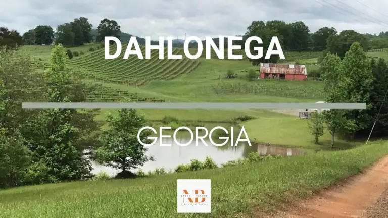 Top 9 Things to Do in Dahlonega Georgia | Fine Senior Travel