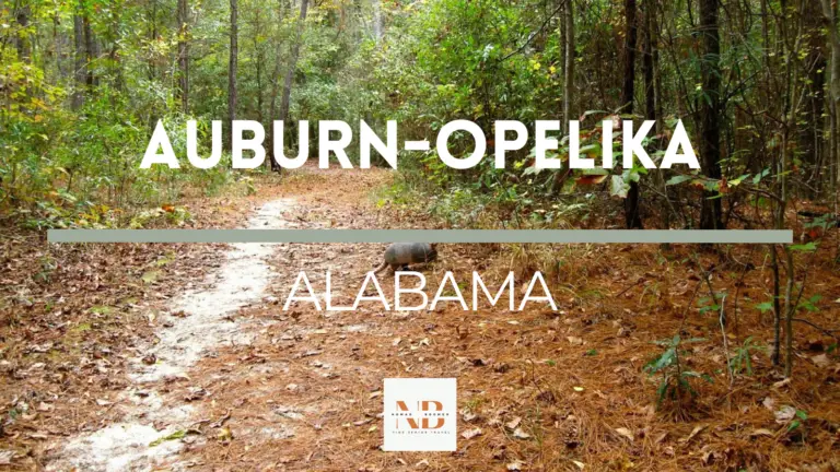 Top 15 Things to Do in Auburn-Opelika Alabama | Fine Senior Travel