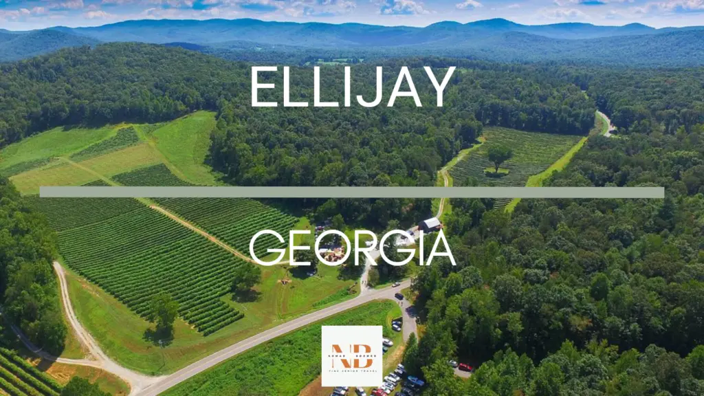 Things to Do in Ellijay Georgia