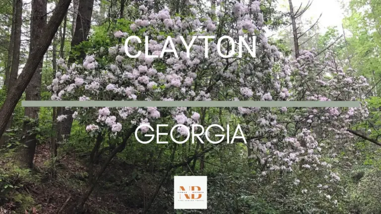 Top 15 Things to Do in Clayton Georgia | Fine Senior Travel