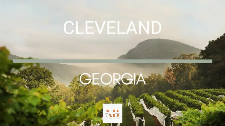 Top 8 Things to Do in Cleveland Georgia | Fine Senior Travel