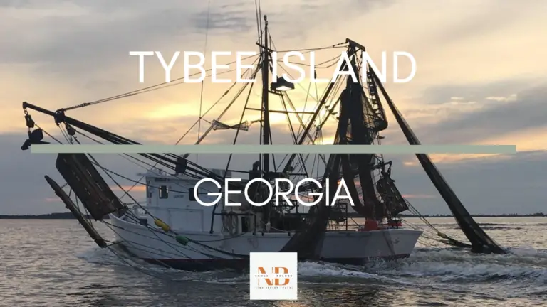 Top 12 Things to Do in Tybee Island Georgia | Fine Senior Travel
