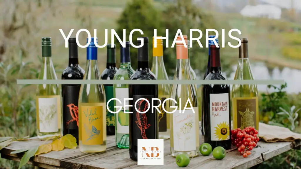 Things to Do in Young Harris Georgia