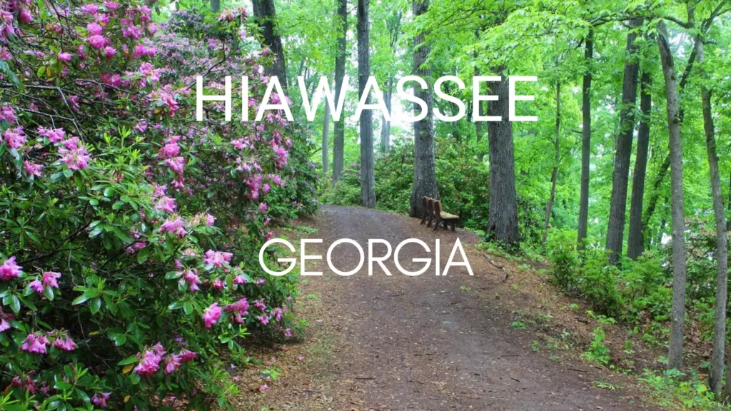 Very Small Towns in Georgia - Hiawassee