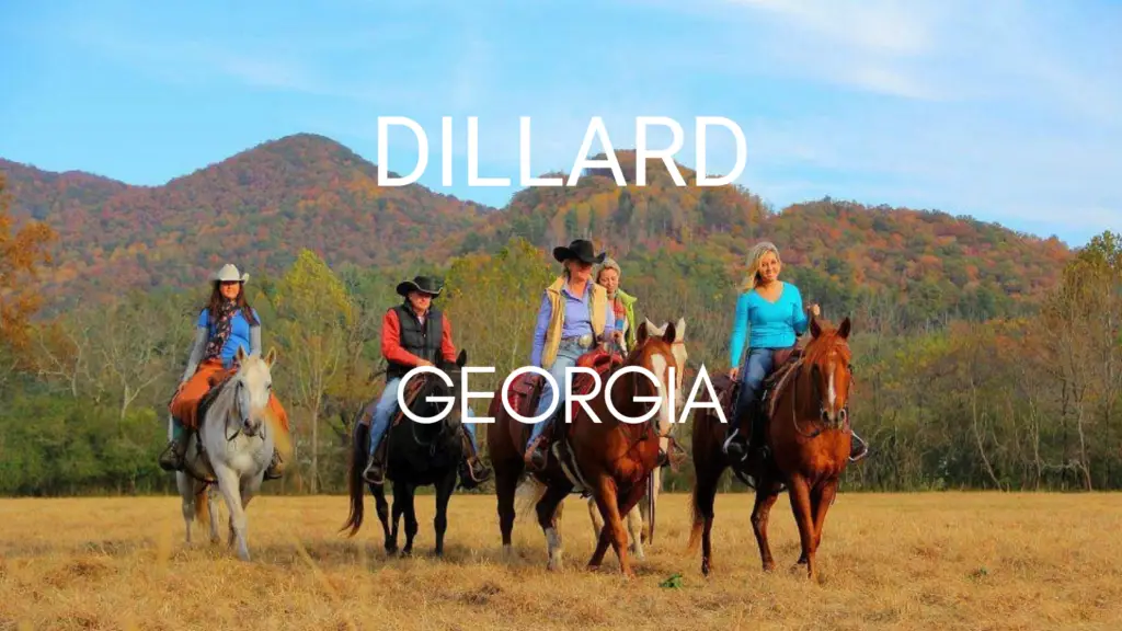 Very Small Towns in Georgia - Dillard