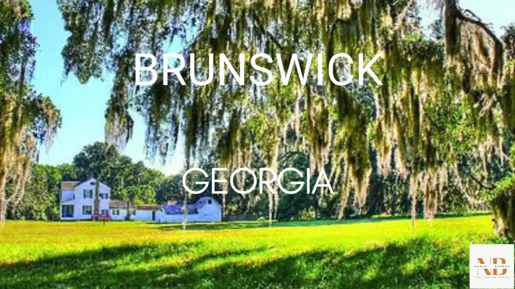 Best Small Towns in Georgia - Brunswick