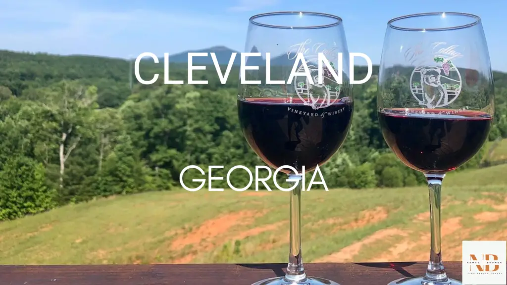 Best Small Towns in Georgia - Cleveland
