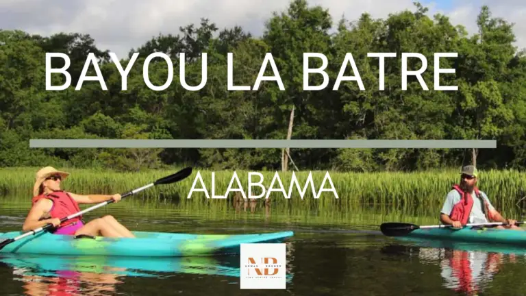 Top 5 Things to Do in Bayou La Batre Alabama | Fine Senior Travel