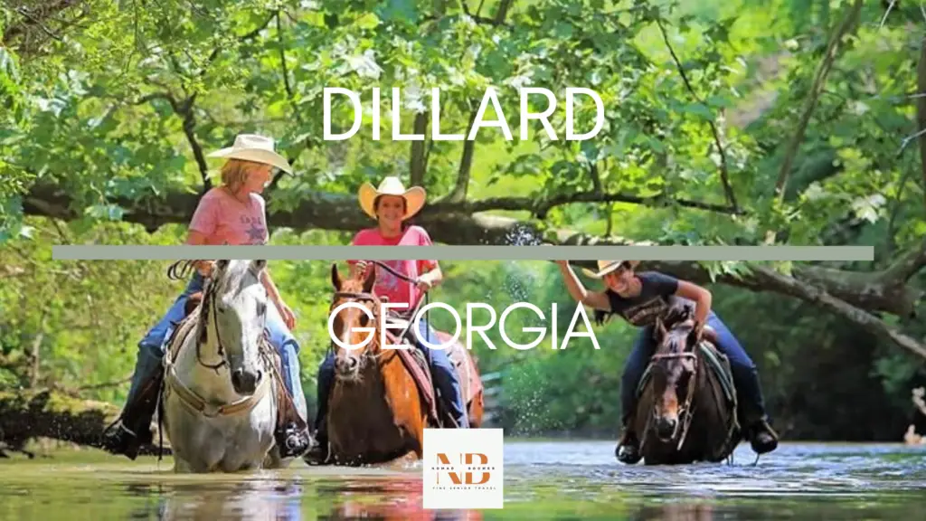 Things to Do in Dillard Georgia