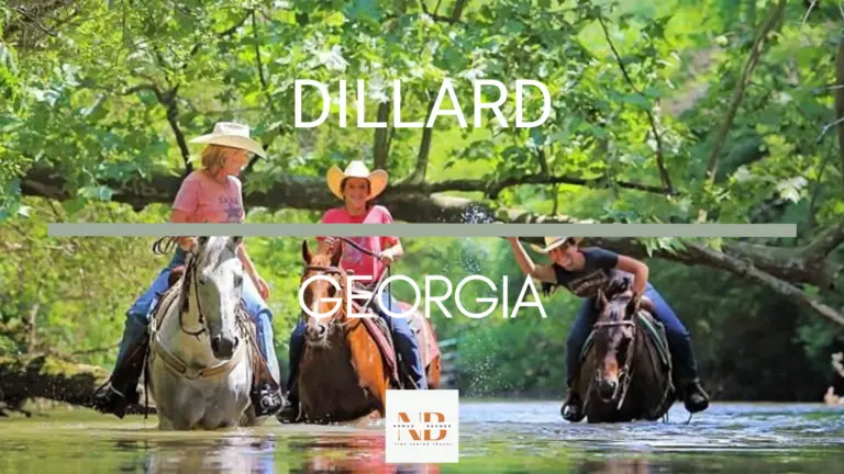 Top 5 Things to Do in Dillard Georgia | Fine Senior Travel