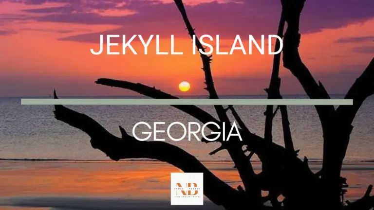 Top 7 Things to Do in Jekyll Island Georgia | Fine Senior Travel