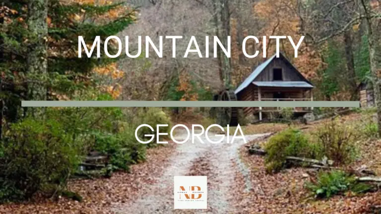 Top 7 Things to Do in Mountain City Georgia | Fine Senior Travel