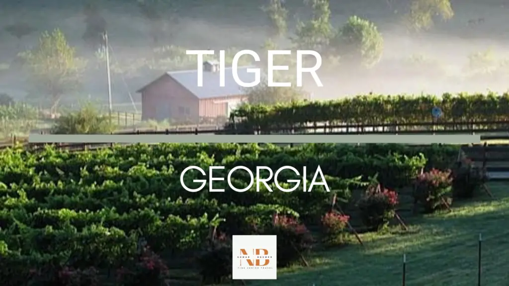 Things to Do in Tiger Georgia