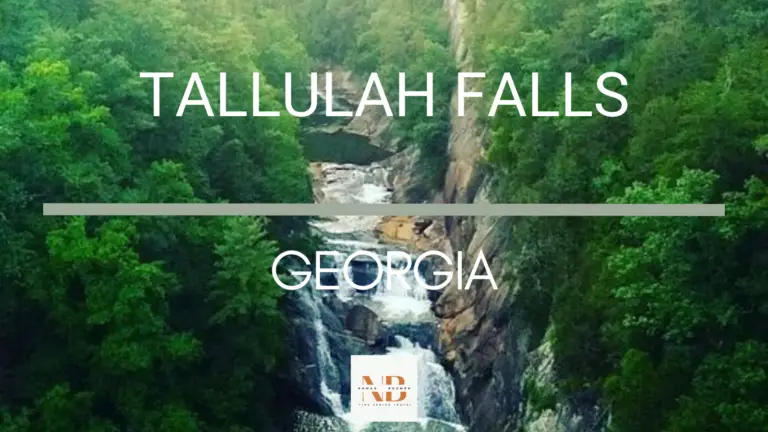 Top 7 Things to Do in Tallulah Falls Georgia | Fine Senior Travel