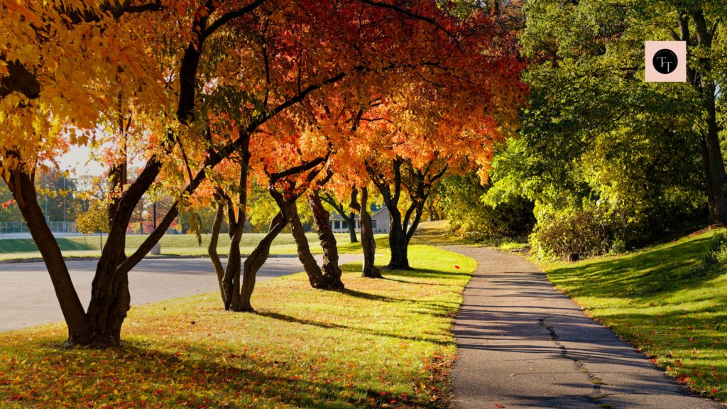 Mindfulness Gratitude Quotes - Inspired Living with Nature